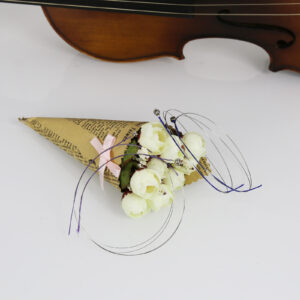 Danchet Violin Strings 4/4 E1. 2 pcs & A2. 2 pcs Senior Level, Ball End, Stainless Steel and Nickel Silver Wound 305