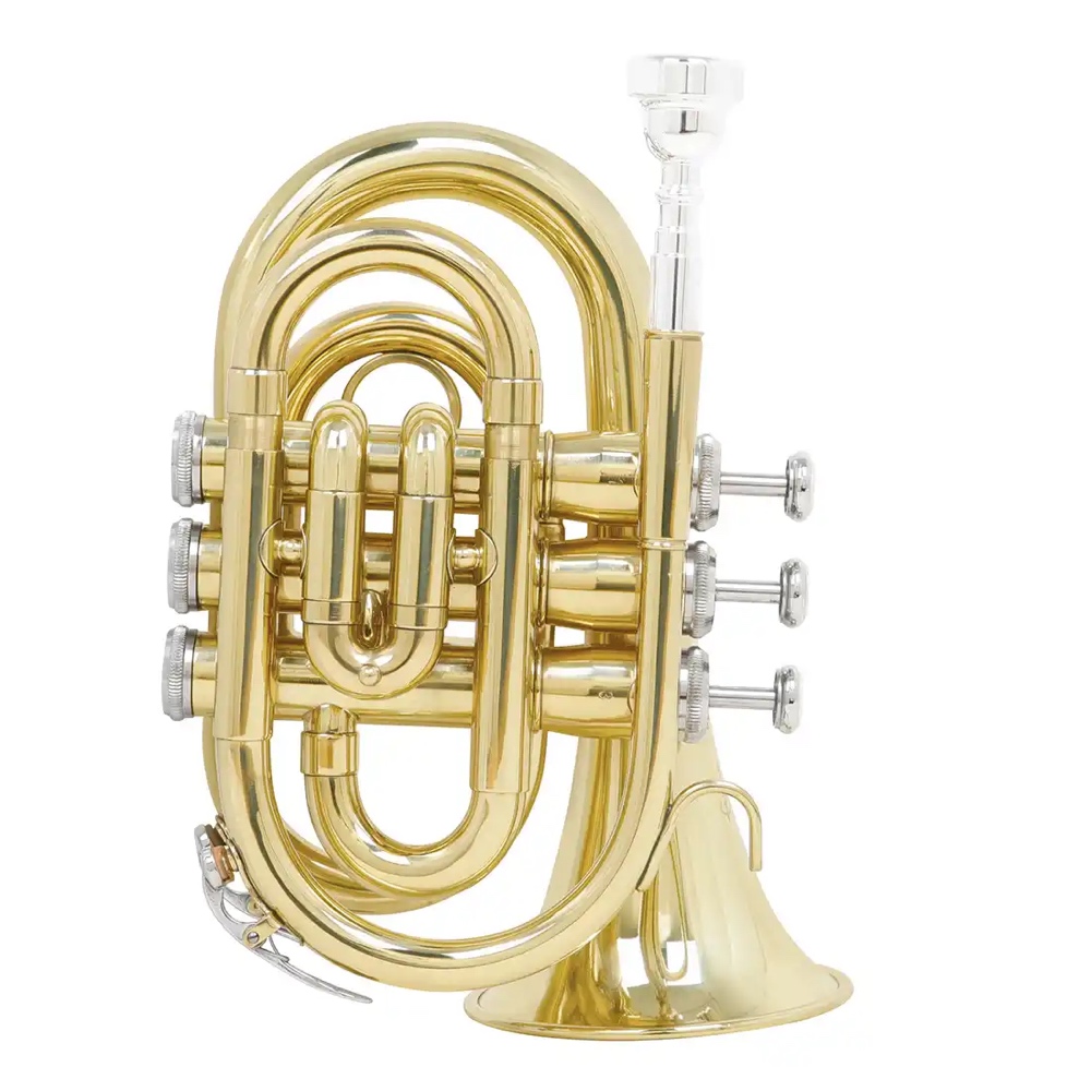 Hand Horn