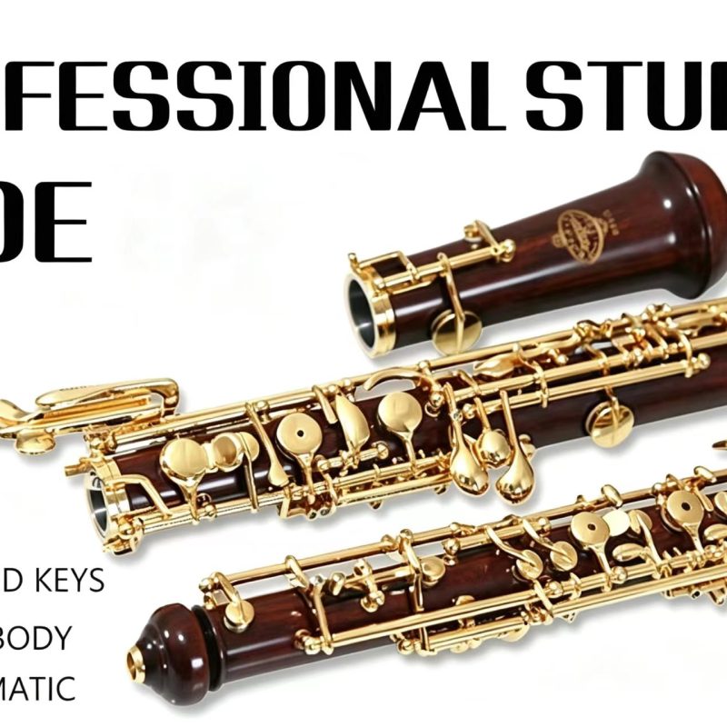 Rochix Beginner Level Redwood Body 18K Gold Plated Key Professional Performance Level Oboe（Out of stock）