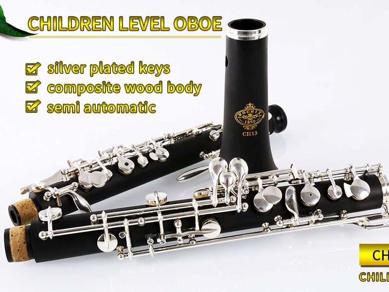 Rochix Beginner Level  ABS Body Silver Plated Semi Automatic Oboe（Out of stock）